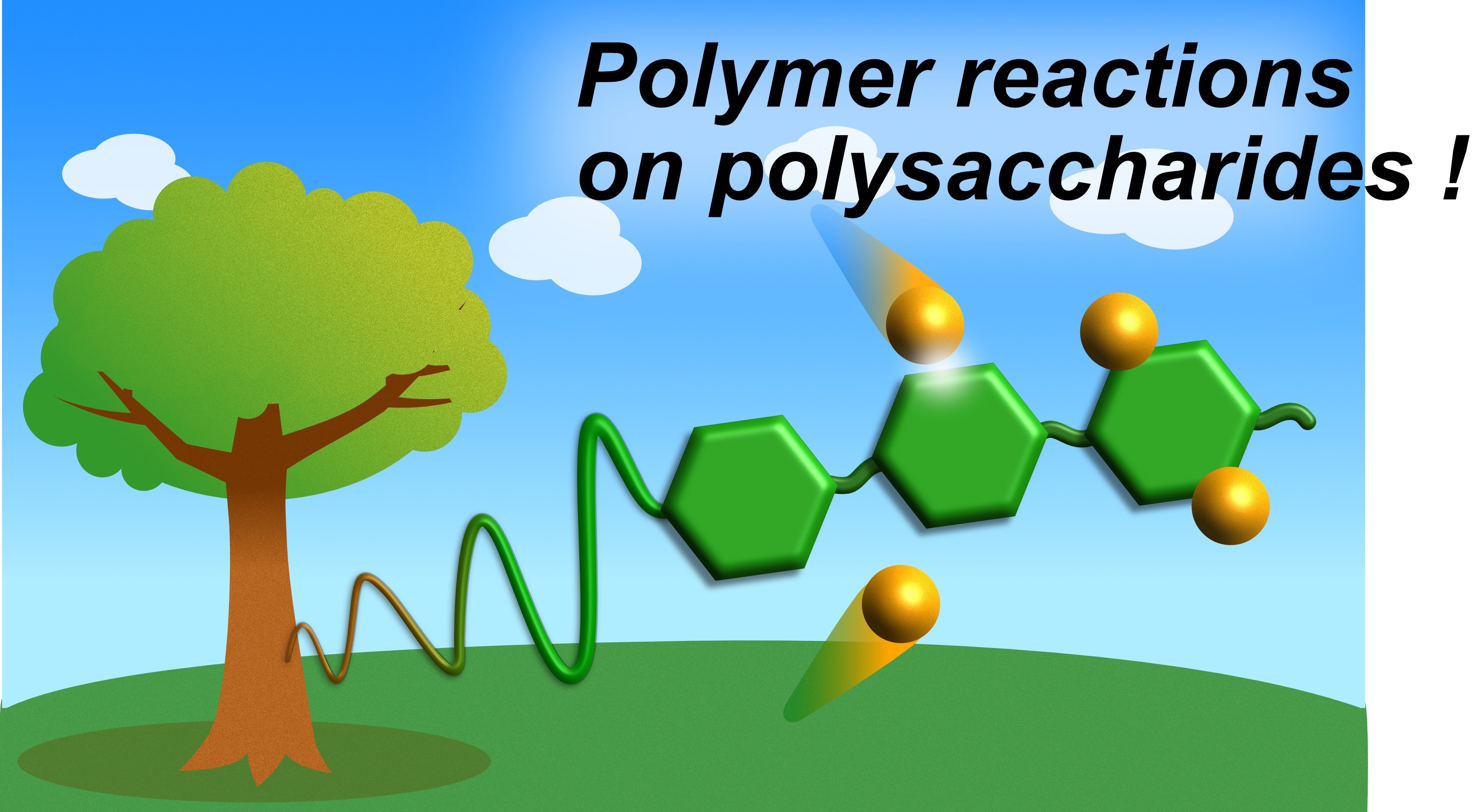 Biomass-Derived Materials