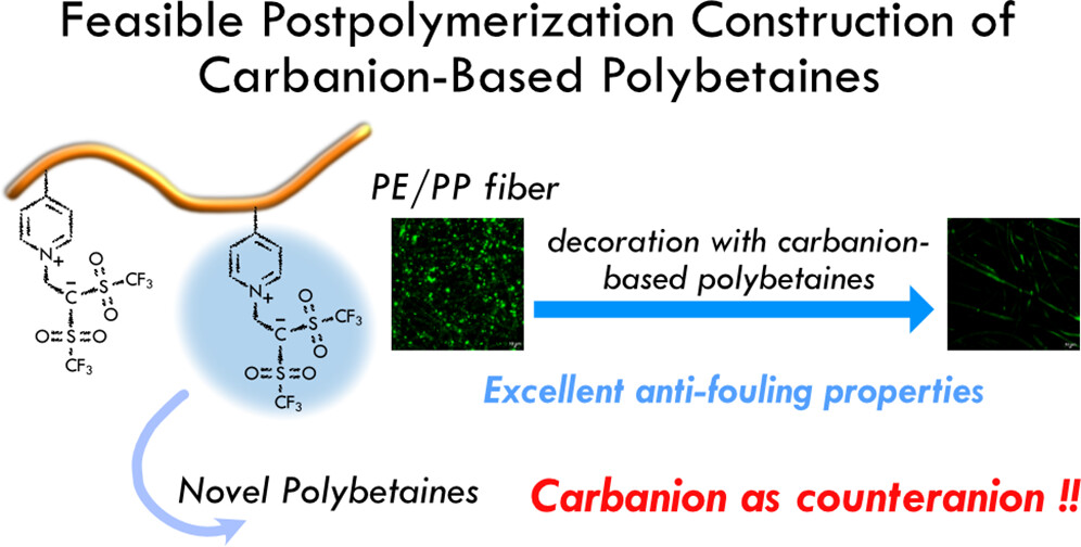 Zwitterion Polymers 2